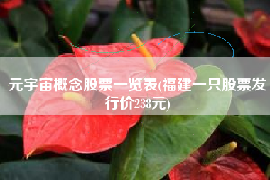 元宇宙概念股票一览表(福建一只股票发行价238元)