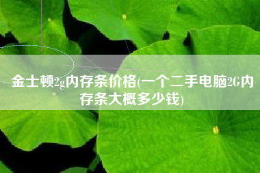金士顿2g内存条价格(一个二手电脑2G内存条大概多少钱)