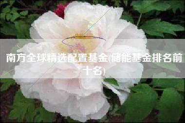 南方全球精选配置基金(储能基金排名前十名)