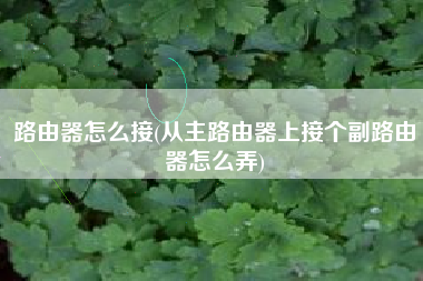 路由器怎么接(从主路由器上接个副路由器怎么弄)