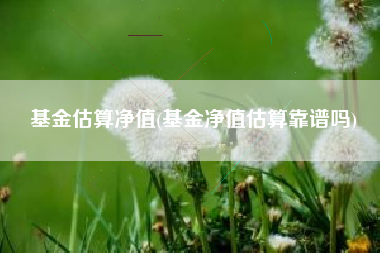 基金估算净值(基金净值估算靠谱吗)