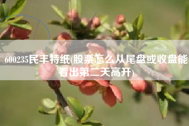 详细阅读:600235民丰特纸(股票怎么从尾盘或收盘能看出第二天高开) 600235民丰特纸(股票怎么从尾盘或收盘能看出第二天高开)