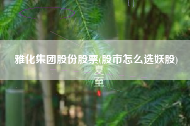 雅化集团股份股票(股市怎么选妖股)