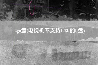 4gu盘(电视机不支持128G的U盘)