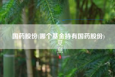 国药股份(哪个基金持有国药股份)