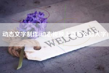 动态文字制作(动态视频上面怎么加入字)