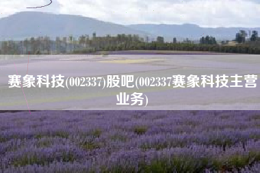 赛象科技(002337)股吧(002337赛象科技主营业务)