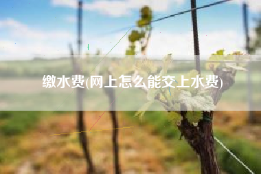 缴水费(网上怎么能交上水费)