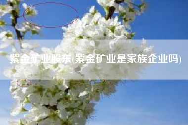 紫金矿业股东(紫金矿业是家族企业吗)