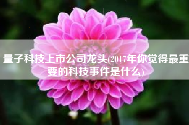 量子科技上市公司龙头(2017年你觉得最重要的科技事件是什么)