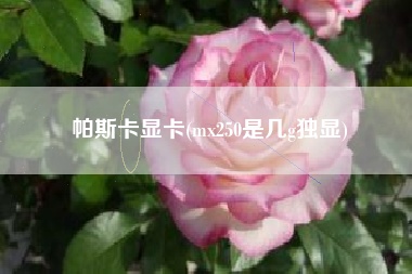 帕斯卡显卡(mx250是几g独显)