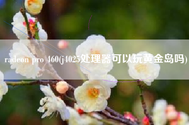 radeon pro 460(j4025处理器可以玩黄金岛吗)