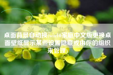 桌面背景自动换(win10家庭中文版更换桌面壁纸显示某些设置隐藏或由你的组织来管理)