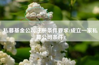 私募基金公司注册条件要求(成立一家私募公司条件)