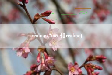 realmex2(ace和realme)