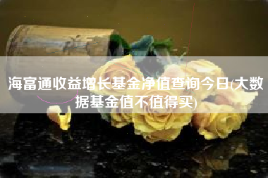海富通收益增长基金净值查询今日(大数据基金值不值得买)