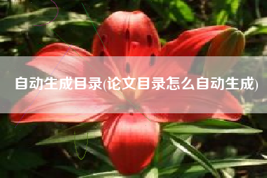 自动生成目录(论文目录怎么自动生成)