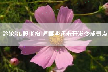 黔轮胎a股(你知道哪些还未开发变成景点)