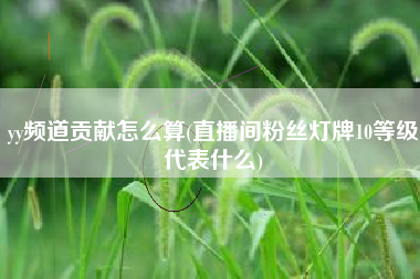 yy频道贡献怎么算(直播间粉丝灯牌10等级代表什么)