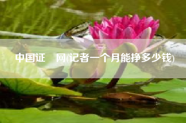 中国证劵网(记者一个月能挣多少钱)