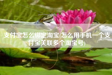 支付宝怎么绑定淘宝(怎么用手机一个支付宝关联多个淘宝号)