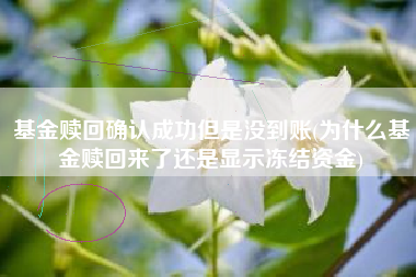 基金赎回确认成功但是没到账(为什么基金赎回来了还是显示冻结资金)
