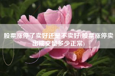 股票涨停了卖好还是不卖好(股票涨停卖出成交量多少正常)