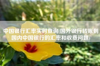中国银行汇率实时查询(国外银行转账到国内中国银行的汇率和收费问题)