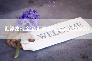 汇添富现金宝(汇添富现金宝收益怎么)