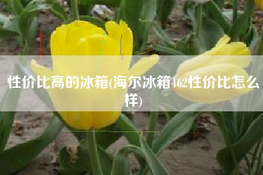 性价比高的冰箱(海尔冰箱462性价比怎么样)