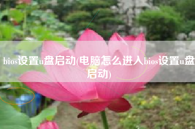 bios设置u盘启动(电脑怎么进入bios设置u盘启动)