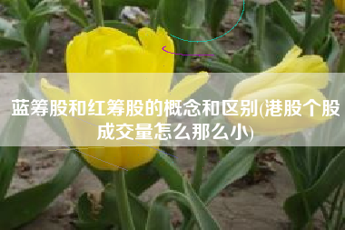 蓝筹股和红筹股的概念和区别(港股个股成交量怎么那么小)