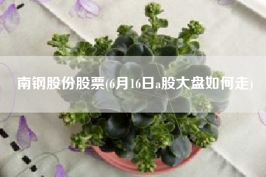 南钢股份股票(6月16日a股大盘如何走)