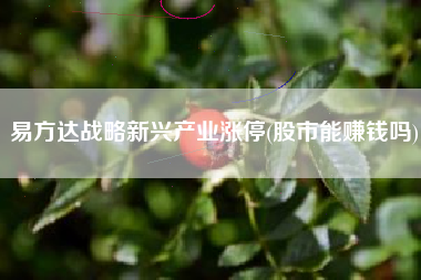 易方达战略新兴产业涨停(股市能赚钱吗)