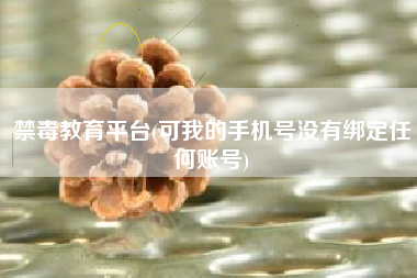 禁毒教育平台(可我的手机号没有绑定任何账号)