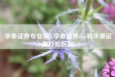 华泰证券专业版3(华泰证券app和华泰证券行知区别)