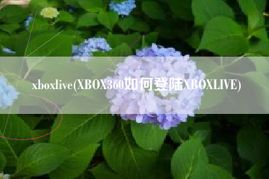 xboxlive(XBOX360如何登陆XBOXLIVE)