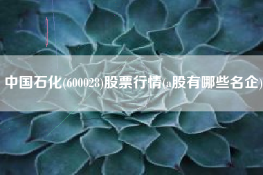 中国石化(600028)股票行情(a股有哪些名企)