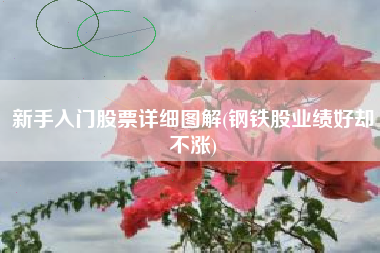 新手入门股票详细图解(钢铁股业绩好却不涨)