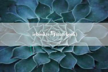 iebook(e与matebook)