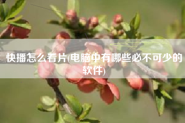 快播怎么看片(电脑中有哪些必不可少的软件)