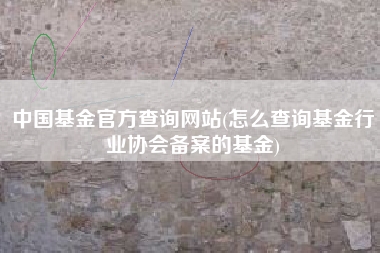 中国基金官方查询网站(怎么查询基金行业协会备案的基金)