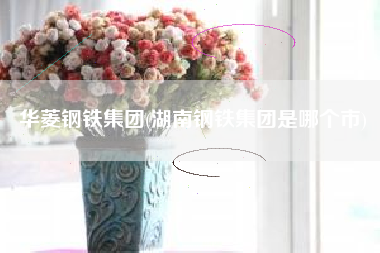 华菱钢铁集团(湖南钢铁集团是哪个市)