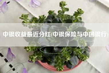 中银收益最近分红(中银保险与中国银行)