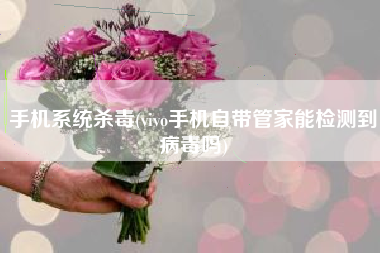 手机系统杀毒(vivo手机自带管家能检测到病毒吗)