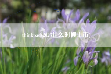 thinkpad(2023什么时候上市)