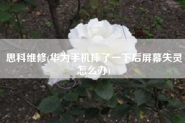 思科维修(华为手机摔了一下后屏幕失灵怎么办)