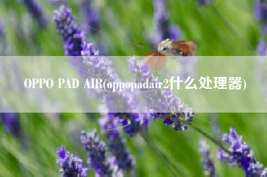 OPPO PAD AIR(oppopadair2什么处理器)