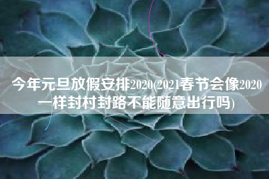 今年元旦放假安排2020(2021春节会像2020一样封村封路不能随意出行吗)