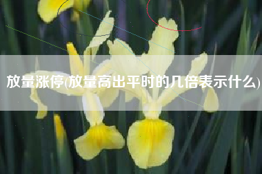 放量涨停(放量高出平时的几倍表示什么)